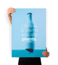 L'acqua la diamo alle piante